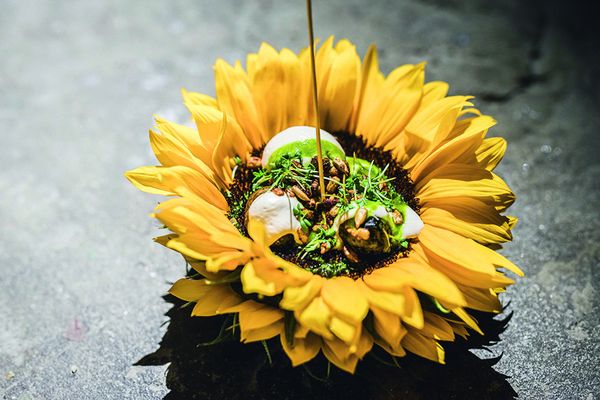 © berlin cuisine
