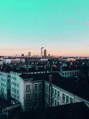 © unsplash Anna Shannon