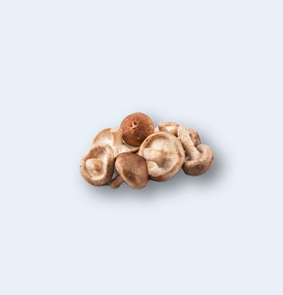 Artikelbild Shiitake Pilze 32904