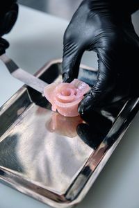 © Dexterity Kingfdish Rose