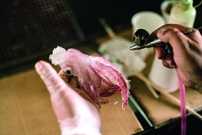 Lebensmittelnachbildung