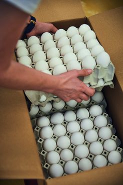 © Hans Schubert Bauernkrapfenproduktion