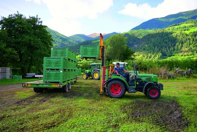 Obsternte mit Traktor