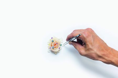 © Dexterity Kingfish Rose