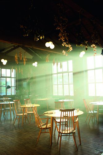 © Where The Light Gets In