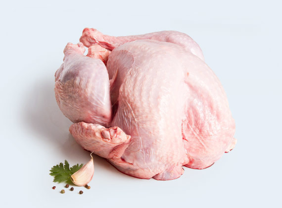 Artikelbild Pute 1112