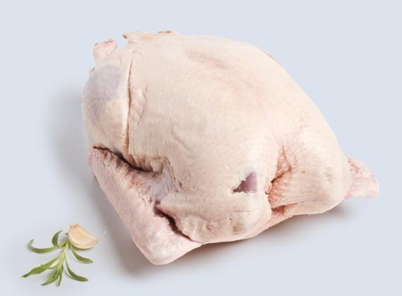 Artikelbild Bauernente 1818