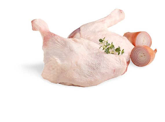 Artikelbild Gänsekeulen 2325