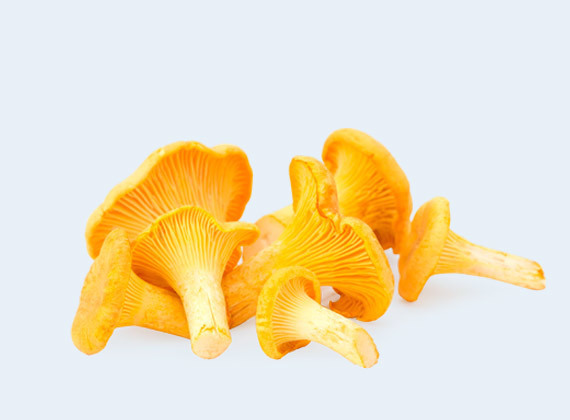 Artikelbild Eierschwammerl Exklusiv 3233