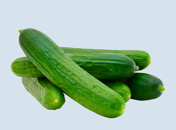 Artikelbild Gurken 32503