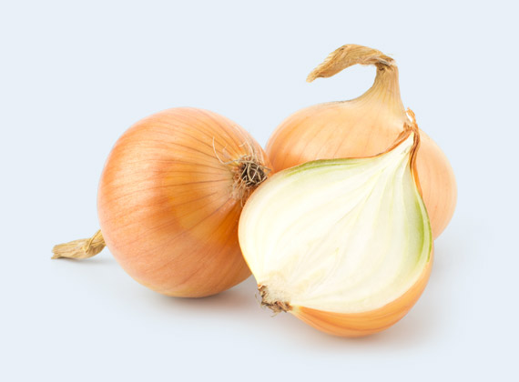 Artikelbild Metzgerzwiebel 32532