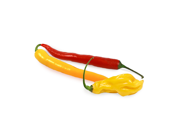 Artikelbild Chili-Mix 32567