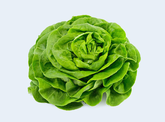 Artikelbild Bio Kopfsalat 35656