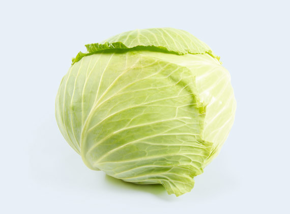 Artikelbild Braunschweiger Kraut 32710