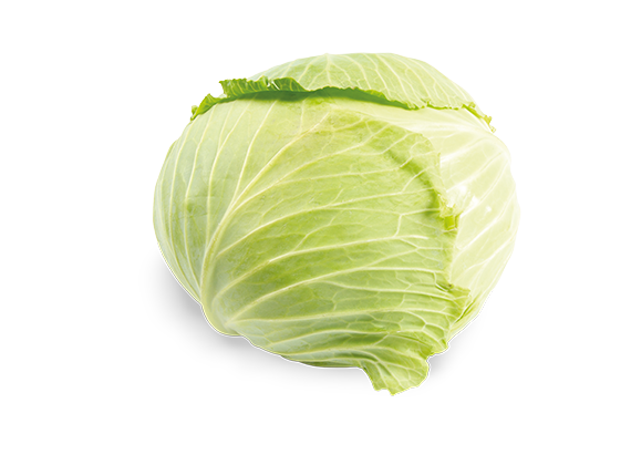 Artikelbild Braunschweiger Kraut 32710
