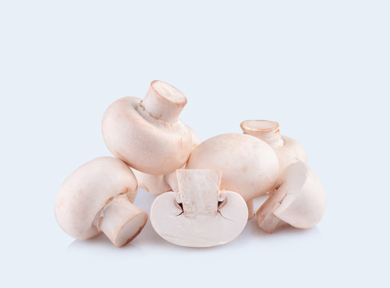 Artikelbild Champignon 32900