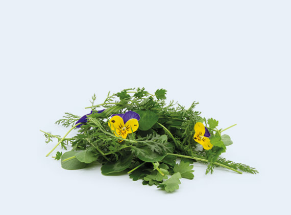 Artikelbild Wildkräuter mit Blüten 33030