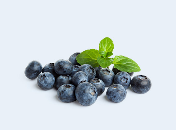 Artikelbild Heidelbeeren 35019