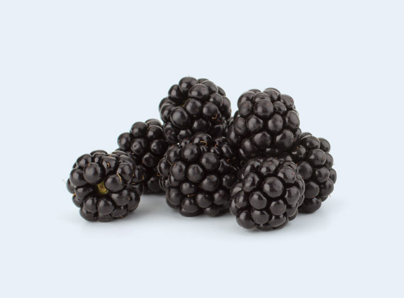 Artikelbild Brombeeren 35020