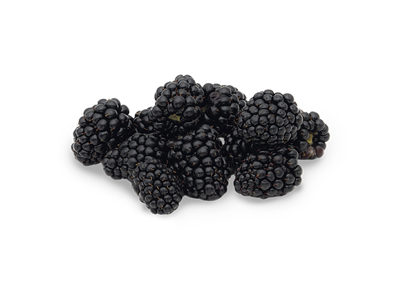 Artikelbild Brombeeren 35020