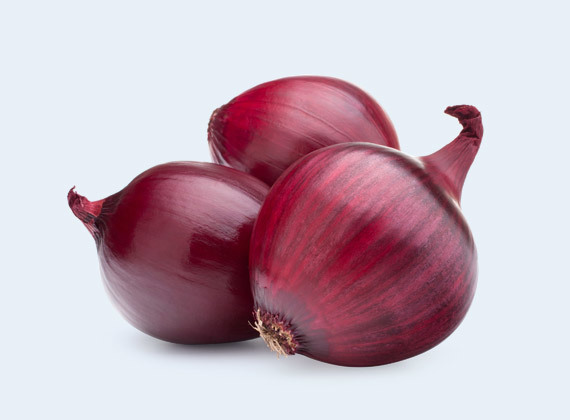 Artikelbild Zwiebel rot 35501
