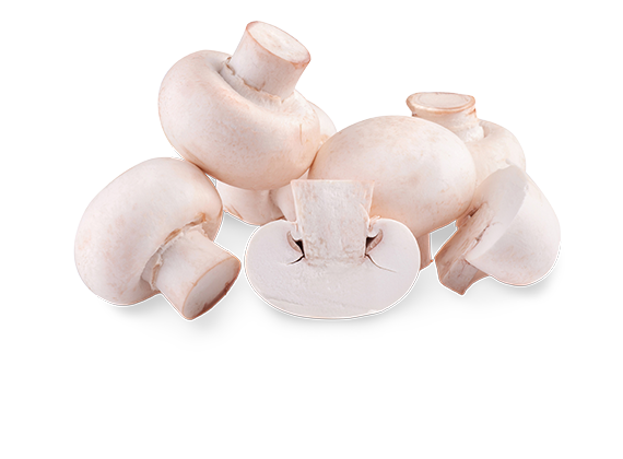 Artikelbild Champignons 35544