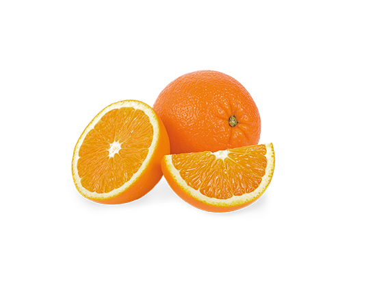 Artikelbild Bio Orangen 35602