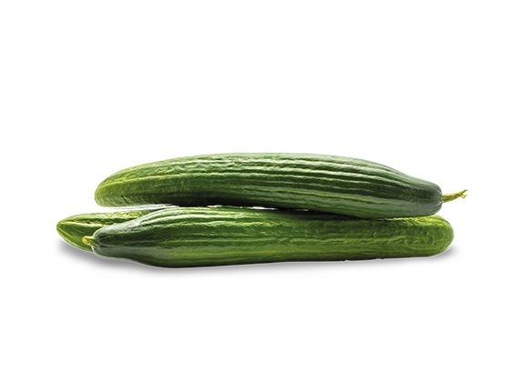Artikelbild Bio Schlangengurken 35652