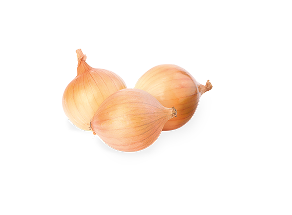 Artikelbild Bio Zwiebel 35654