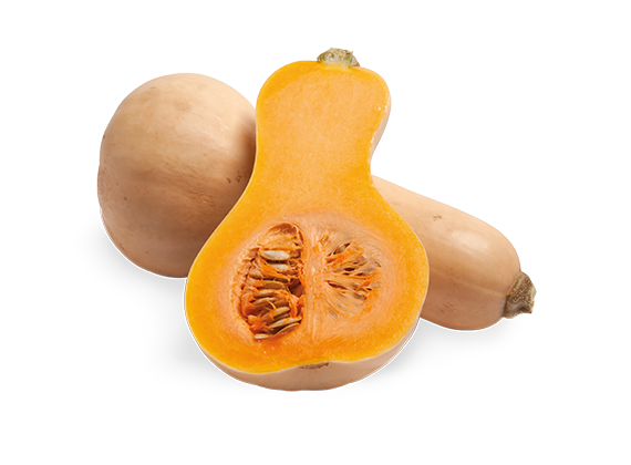 Artikelbild Bio Butternuss-Kürbis 35660