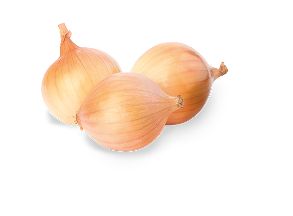 Artikelbild Bio Chinakohl 35661