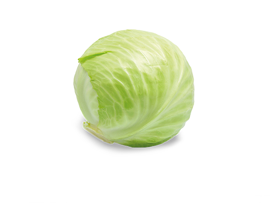 Artikelbild Bio Weißkraut 35662