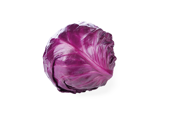 Artikelbild Bio Blaukraut 35663