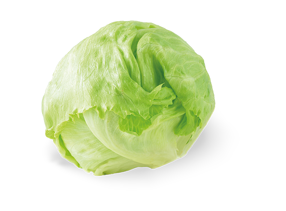 Artikelbild Bio Eisbergsalat 35665