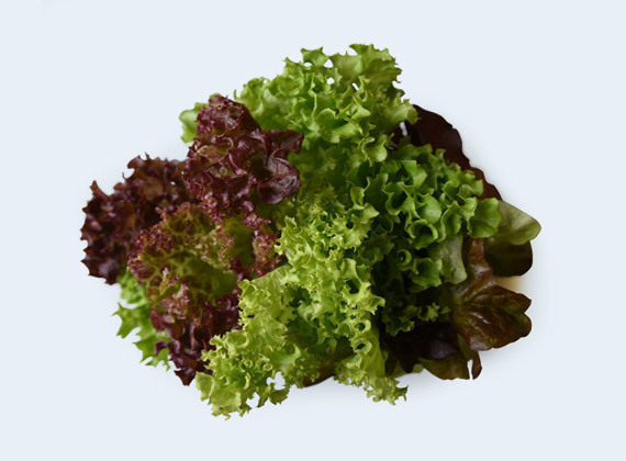 Artikelbild Mischsalat 35701