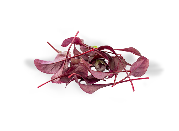 Artikelbild Bull's Blood 35924
