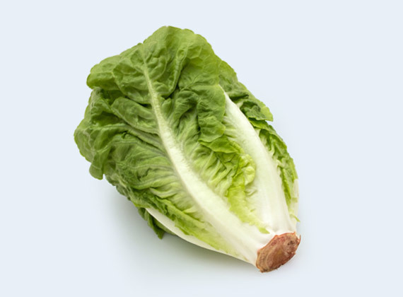 Artikelbild Romanasalat 35925