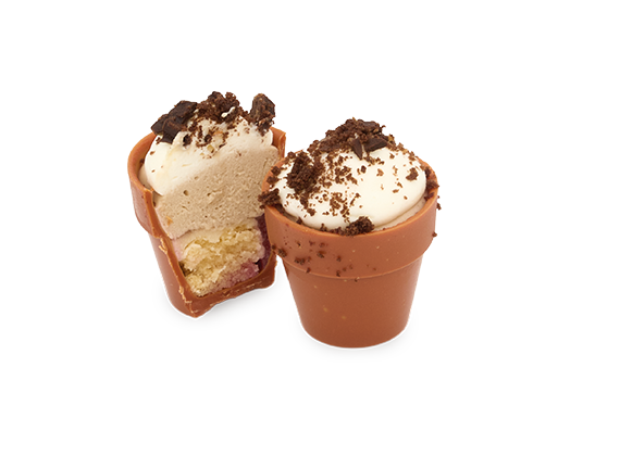 Artikelbild Cappuccino Vanille Schoko-Blumentopf 5716