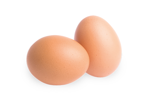 Artikelbild Bio Eier 6037