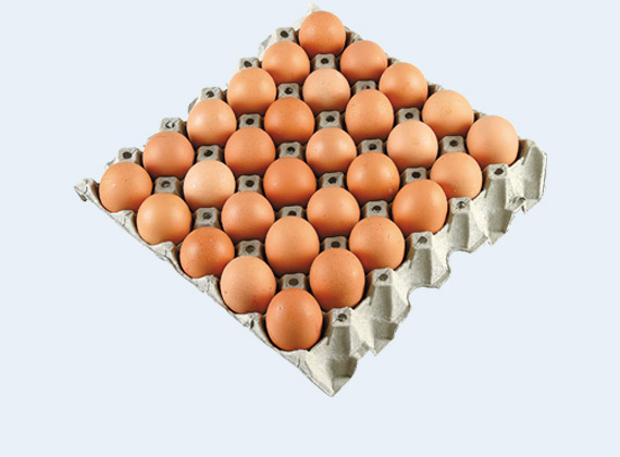 Artikelbild Pasteurisierte Eier 6088