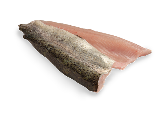 Artikelbild Forellenfilet 7089