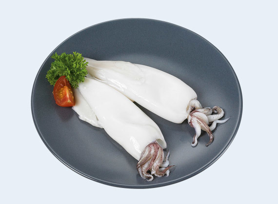 Artikelbild Tintenfisch 10/20 7201