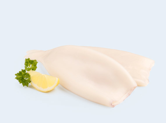 Artikelbild Tintenfischtuben U5 7205