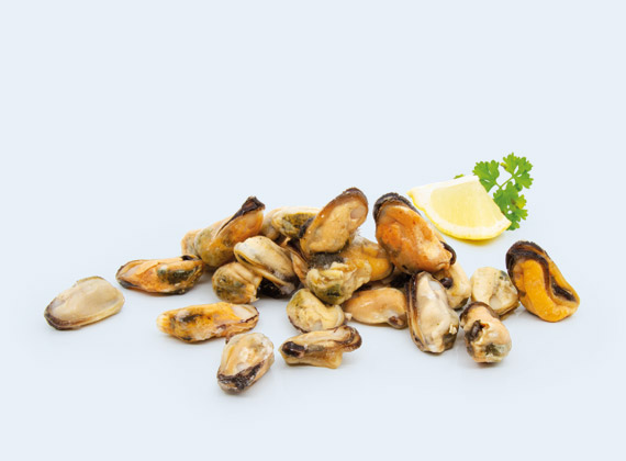 Artikelbild Miesmuschelfleisch 7220