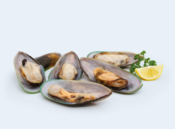 Artikelbild Muscheln Halbschale 7221