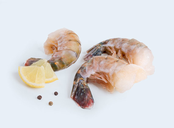 Artikelbild Garnelen U5 Freshwater 7243