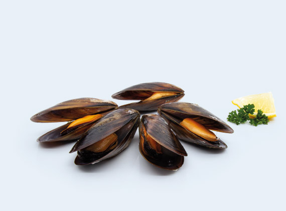 Artikelbild Miesmuscheln 7410
