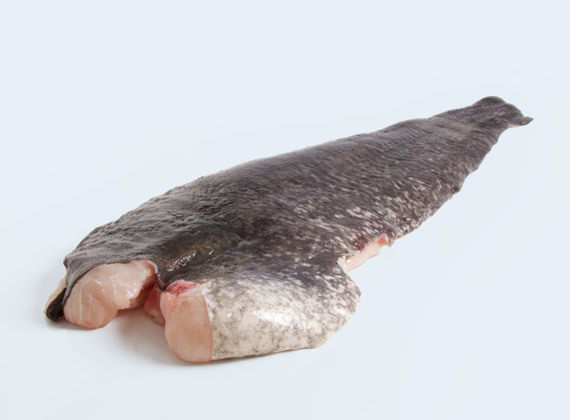 Artikelbild Welsfilet 7478
