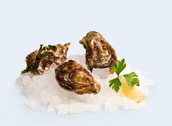 Artikelbild Austern 7563