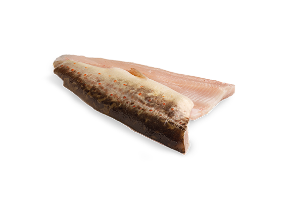 Artikelbild Bio Bachforellenfilet 7675